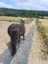 3.webp