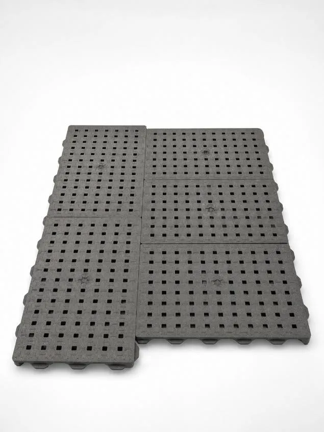 image1.webp